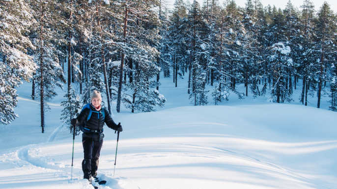 Half Day Wilderness Skiing Tour in Pyhä