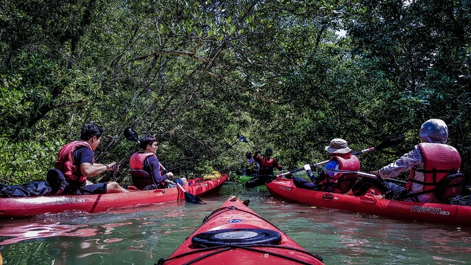 Ubin Bisect Kayaking