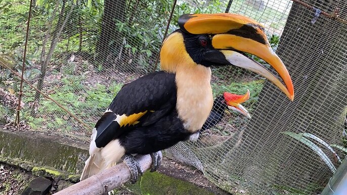 Garden & Park Half Day Tour (SIC Tour – Join In Tour)