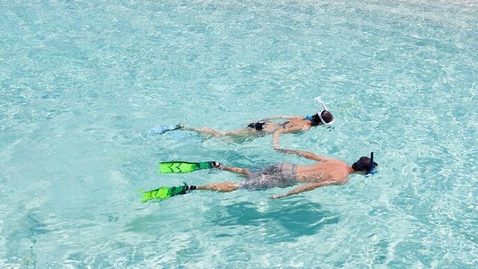 Catalina Island Scuba Diving and Snorkeling Tour from Punta Cana