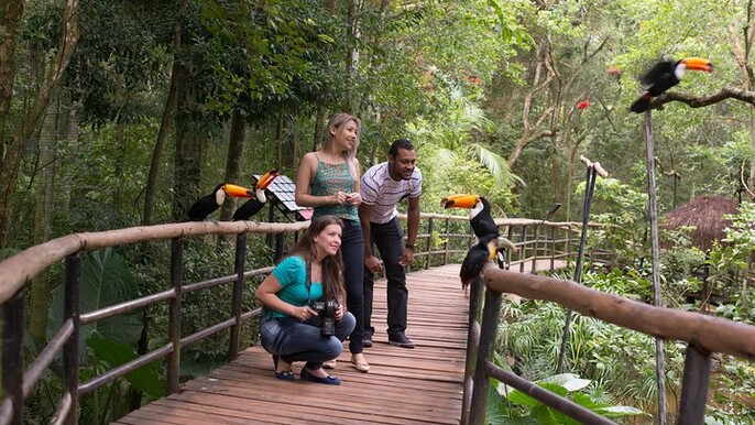 Bird Park & Iguassu Brazilian Side Gran Meliá Hotel Exclusive - Private Tour