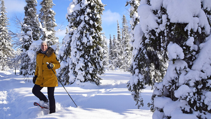 Winter Break in the northernmost Lapland