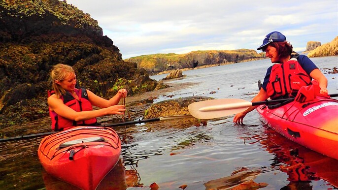 Kayak and discover the secrets of seaweed. West Cork. Guided.