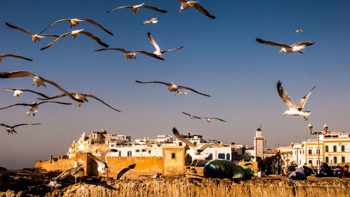 Essaouira Day Trip from Marrakech