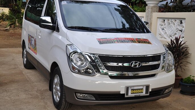 Transfers From Hotel to Puerto Princesa Airport or Vice versa