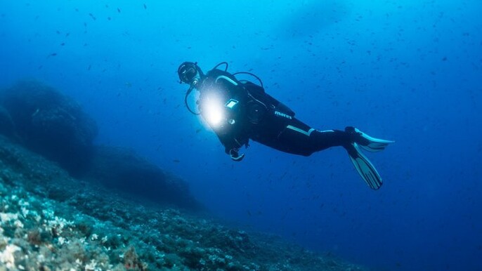Scuba Diving at night in Mirissa