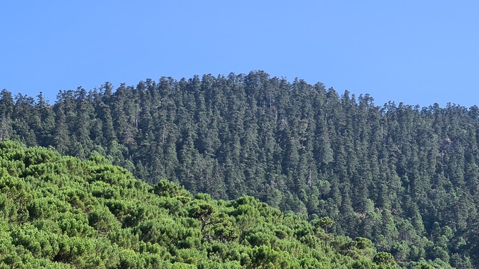 E-Bike Tour Sierra Bermeja: Discover the Natural Beauty of Estepona's Mountains