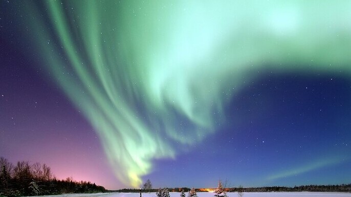 THE NIGHT LAPPISH BARBECUE