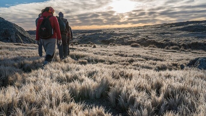 5.5-Hour Nat Park w/ Hiking *Shore Excursion* USHUAIA (Shared tour for cruises)