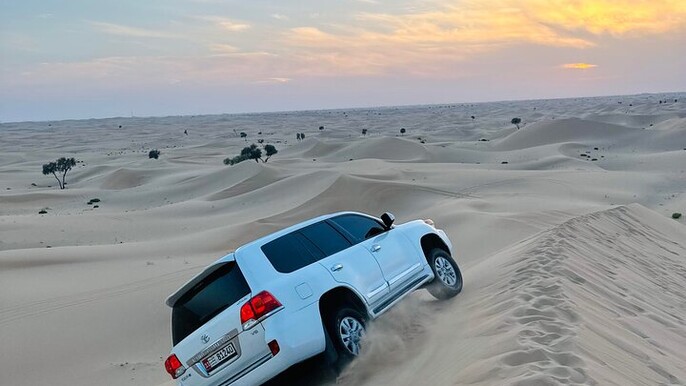 Abu Dhabi: Evening Desert Safari with Camel Ride, BBQ & Live Show