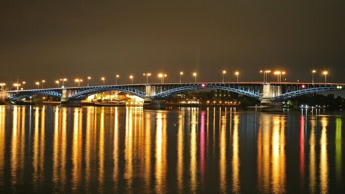 Frankfurt to Mainz Private Excursion with public transportation