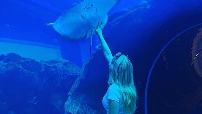 Dubai Aquarium & Underwater Zoo + Penguin Cove Entry Tickets