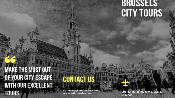 Privat tour : half day in Brussels