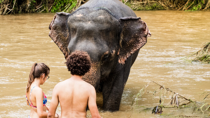 Elephant Sanctuary & Erawan Waterfall Tour from Bangkok – Full Day