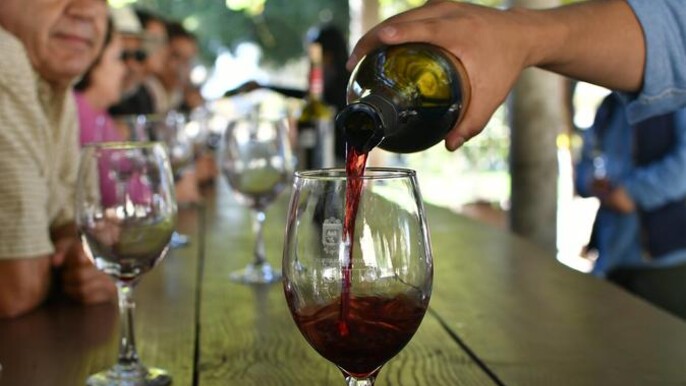 Grand Mexico Wine Country Tour from San Diego