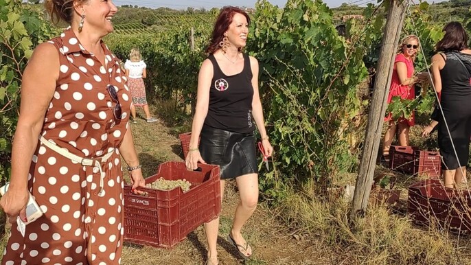 Frascati: 2-Hours Wine Tasting Experience with Winery Guided Tour