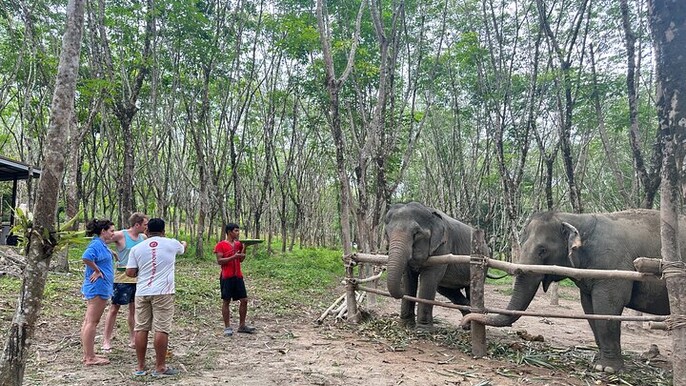 Khao Lak Eco Safari: Elephant Sanctuary Small Group Tour