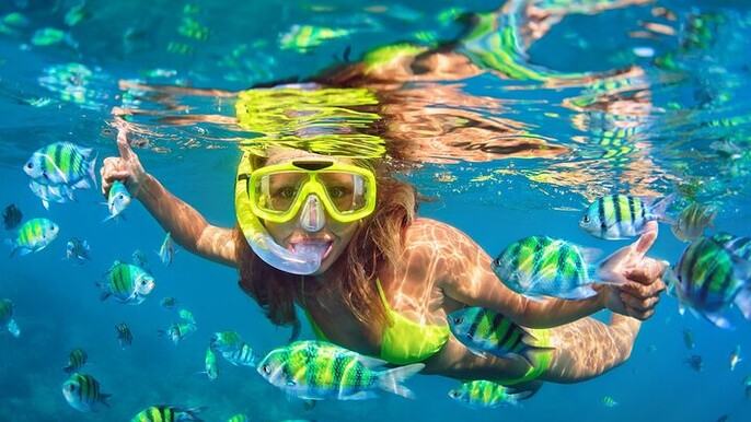 Private Snorkeling with turtles with BBQ food