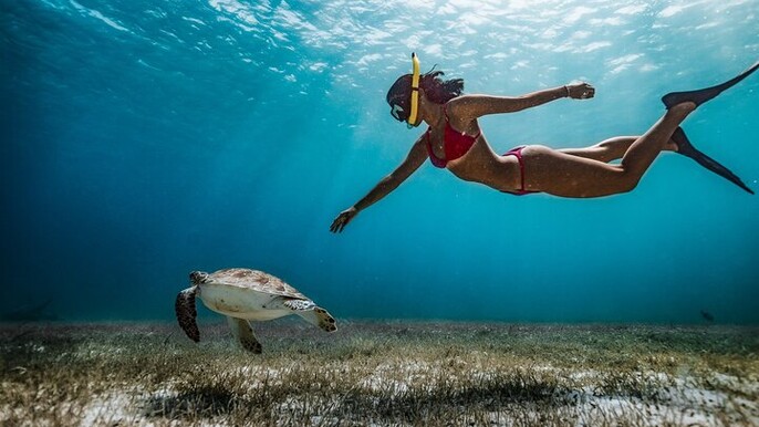 Snorkeling with turtles in Fujairah with Transfer & BBQ lunch