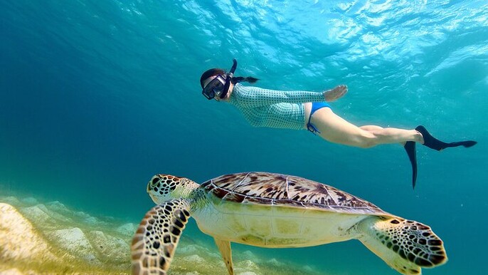 Snorkeling with turtles in Fujairah with BBQ lunch