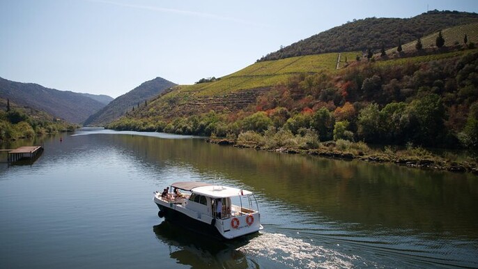 Douro Luxury - Douro Private Cruise with Premium Winery and Restaurant