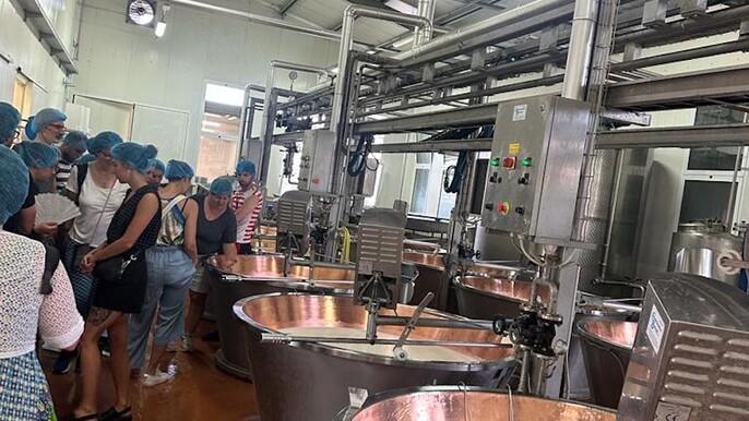 Taste of Modena: Prosciutto, Parmesan, Balsamic & Wine