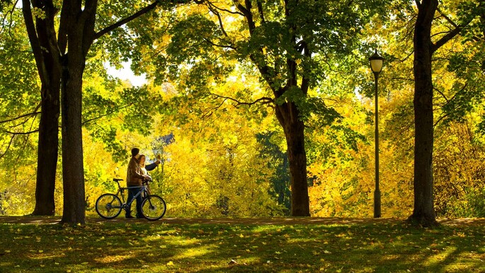 Guided bike tour highlights of Oslo