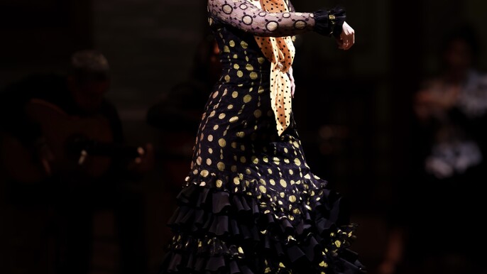 Private Flamenco Show