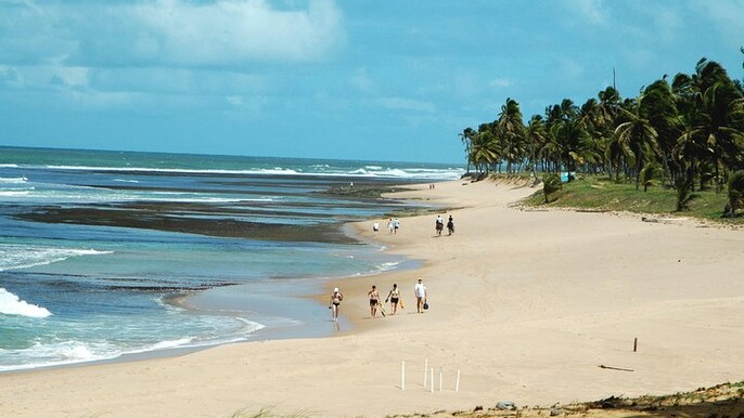 Praia Do Forte & Guarajuba Beach Day Trip