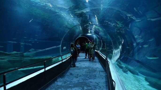 Aquario With Olympic Boulevard Rio de Janeiro