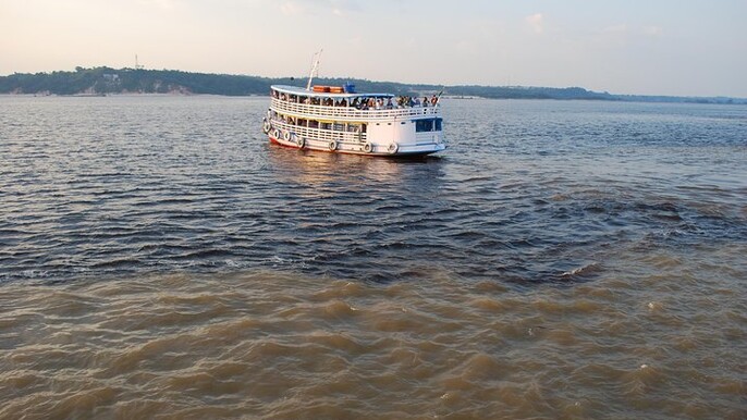 Amazon Dolphin And Meeting Of The Waters With Native Village Tour