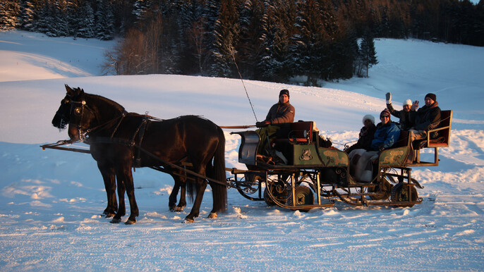 Horse Drawn Sleigh Ride