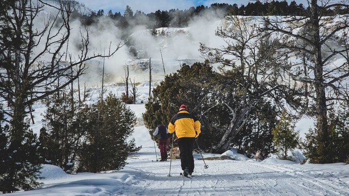 6 Day Yellowstone Winter Wonderland Tour