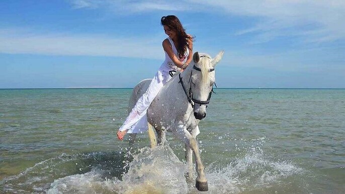 Horse Riding 1 Hour in Nabq Bay beach W/Transfer- Sharm El Sheikh