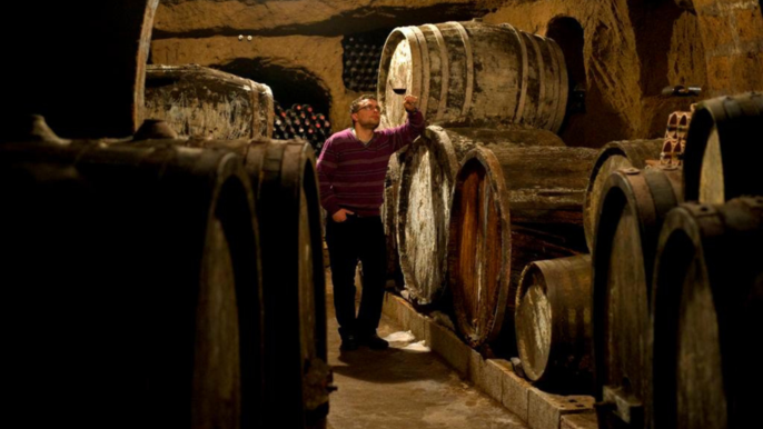 Wine Tasting with Food and Tufa Cellar Visit in Orvieto