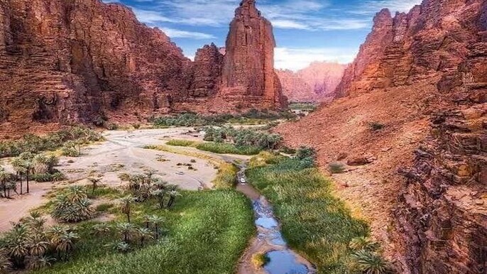 Wadi Al Disah Canyon Experience Scenic Day Tour from Tabuk