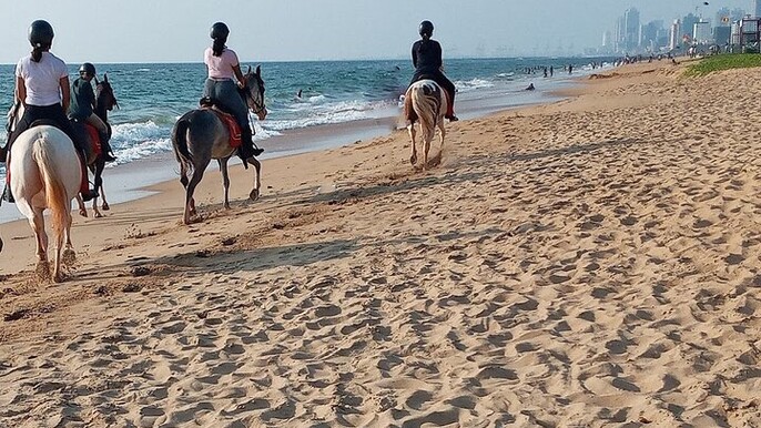Half-Day Horse Riding in Kalpitiya
