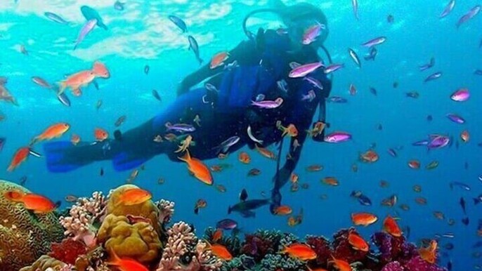 Half Day Guided Snorkeling in Negombo