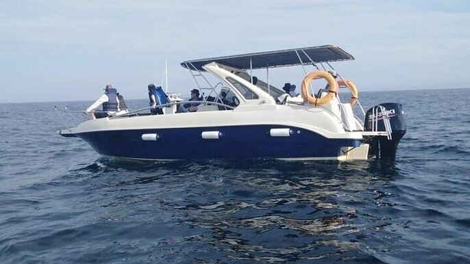 Whale Watching in Speed Boat in Mirissa