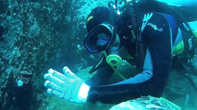 3 Hour Guided Scuba Diving in Trincomalee