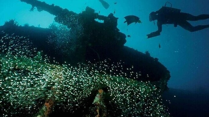 Scuba Diving in Pasikudah