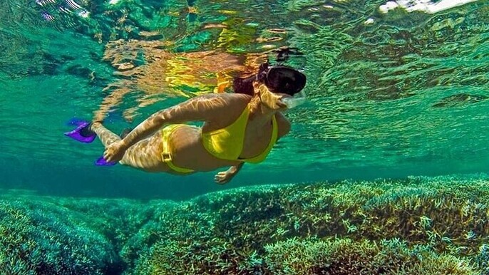 ⁠Snorkeling at Pigeon Island Trincomalee