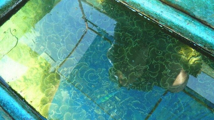 Private Glass Bottom Boat Ride in Trincomalee Beach Colombo