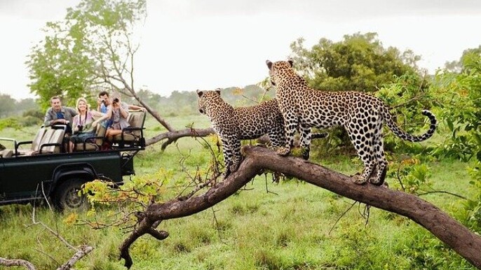 Sri Lanka:5-Day Wildlife Tour with Entry & Adventures Fees