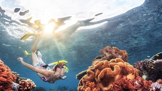 Snorkeling in Trincomalee