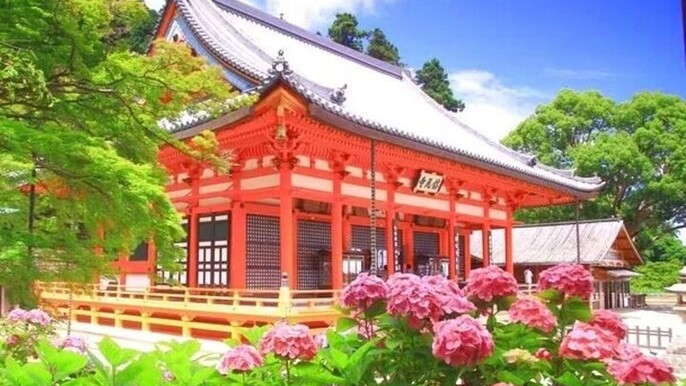 Osaka Katsuo-ji Temple Natural Attraction Ticket