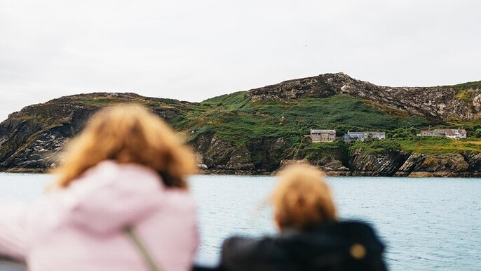 Ireland's Eye and Howth Coastal Boat Tour