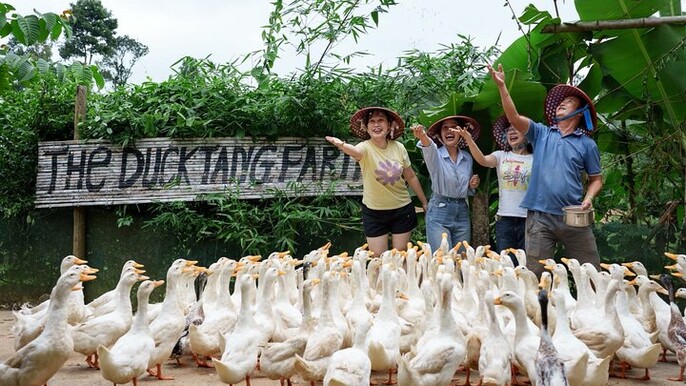 Paradise Cave and Village Charm A Phong Nha Day Trip
