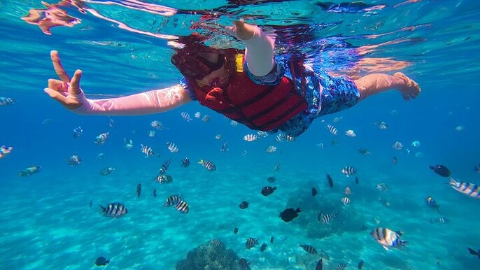 Snorkeling Tour in Cozumel and Swimming with Turtles in El Cielo