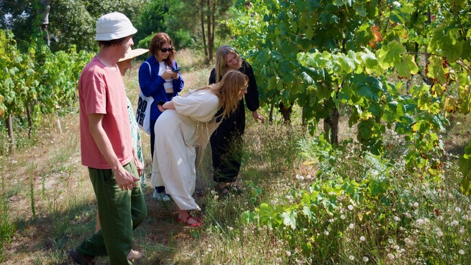 Wine & Food at a Organic Vineyard in Vinhos Verdes Region (4hrs)